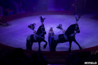 Премьера шоу Королевский цирк, Фото: 3