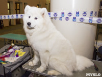 Выставка собак в ДК "Косогорец", Фото: 34