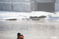 Провалившийся под лед школьник и терпящий бедствие рыбак: спасатели провели учения на Упе в Туле, Фото: 43