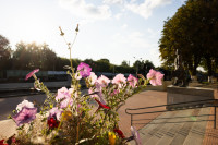 Кимовск-Донской-Новомосковск-Узловая, Фото: 55