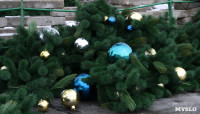 В Туле убирают главную новогоднюю ёлку , Фото: 1
