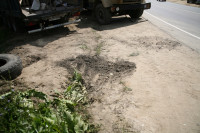 В Барсуках фура влетела в огород и сломала дерево, Фото: 10