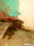 Горы мусора, грибок и аварийные балконы: под Ясногорском рушится многоквартирый дом, Фото: 29