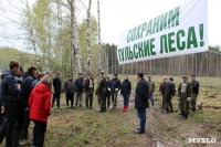 Высадка деревьев в Белевском лесничестве, 4.05.2016, Фото: 14