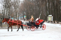 Открытие елки на площади искусств. 19.12.2014, Фото: 68