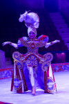 Цирковое шоу 5 континентов , Фото: 73