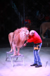 Новая программа в Тульском цирке «Нильские львы». 12 марта 2014, Фото: 14