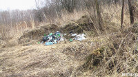 Поселок Славный в Тульской области зарастает мусором, Фото: 1