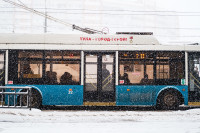 Снегопад в Туле 11 января, Фото: 7