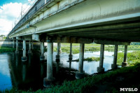 Рейд Myslo: в каком состоянии Тульские мосты, Фото: 155