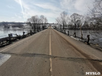 В Орлово Тульской области с подтопленного моста сошла вода, Фото: 7