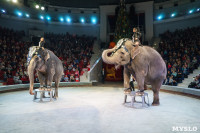 Шоу слонов в Тульском цирке, Фото: 53