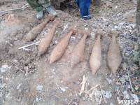 Под Тулой поисковики нашли более 170 единиц боеприпасов времен ВОВ, Фото: 2
