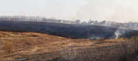 Рядом с микрорайоном полыхает поле: огонь растянулся примерно на километр, Фото: 5