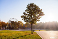 Центральный парк, утро, осень, Фото: 36