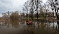 В Туле затопило Баташевский сад, Фото: 9