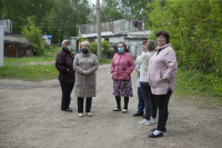 В Тульской области Богородицкий район атаковали мошки, Фото: 17