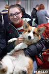 Выставка собак в Туле 26.01, Фото: 3