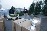 Установка новогодней елки на площади Ленина, Фото: 7