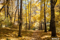 Золотая осень в Ясной Поляне, Фото: 8