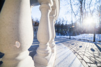 Морозное утро в Платоновском парке, Фото: 21