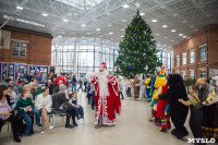 В Тульском кремле открылась новогодняя елка, Фото: 49