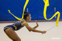 В Туле стартовало первенство Центрального федерального округа по художественной гимнастике, Фото: 45