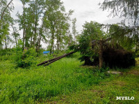 Ураган в Богучарово, Фото: 4
