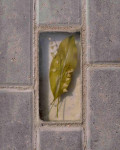 , Фото: 1