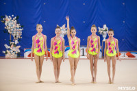 Соревнования по художественной гимнастике на призы благотворительного фонда «Земляки», Фото: 89
