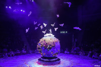 Шоу Гии Эрадзе «5 континентов» в Тульском цирке: феерия уже началась!, Фото: 4