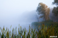 Центральный парк, утро, осень, Фото: 22