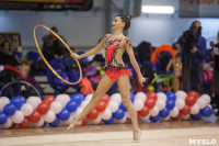 Всероссийский турнир по художественной гимнастике, Фото: 85