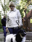 Рейд по выгулу собак в Центральном парке, Фото: 11