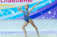 Тула провела крупный турнир по художественной гимнастике, Фото: 63