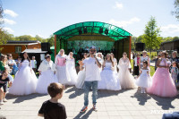  Парад невест прошел в Тульской области в фестивале «Цветущая яблоня», Фото: 1