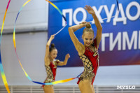 В Туле стартовало первенство Центрального федерального округа по художественной гимнастике, Фото: 16