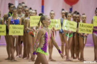 Всероссийский турнир по художественной гимнастике, Фото: 28