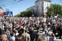 Бессмертный полк в Туле. 9 мая 2015 года., Фото: 117