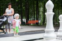 "Большие шахматы" в Центральном парке, Фото: 48