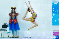Тула провела крупный турнир по художественной гимнастике, Фото: 49
