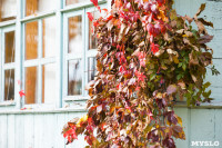 Золотая осень в Ясной Поляне, Фото: 105