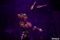 Шоу фонтанов «13 месяцев»: успей увидеть уникальную программу в Тульском цирке, Фото: 246