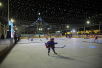 «Академия Михайлова» и Губернский каток 2025, Фото: 30