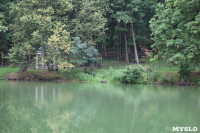 Загрязнение прудв в Платоновском парке, Фото: 10