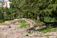 Пруд в Платоновском парке спустили на время капитального ремонта плотины, Фото: 37