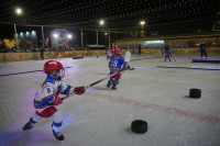 «Академия Михайлова» и Губернский каток 2025, Фото: 22