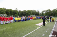 День массового футбола в Туле, Фото: 90