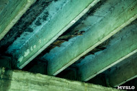 Рейд Myslo: в каком состоянии Тульские мосты, Фото: 93