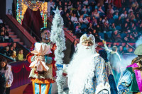 Шоу «Жар-птица», Фото: 16